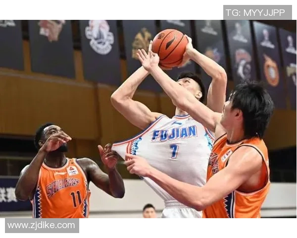 体育实时数据上海篮球队逆袭之旅奥运会特别报道展现拼搏精神与团队力量